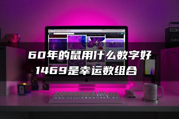 60年的鼠用什么数字好 1469是幸运数组合