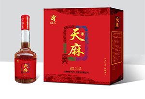 天麻酒怎么泡？天麻泡酒的功效与作用 