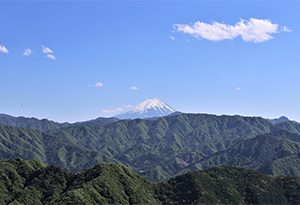 别以为日本只有啤酒、清酒，葡萄酒早有百多年历史 