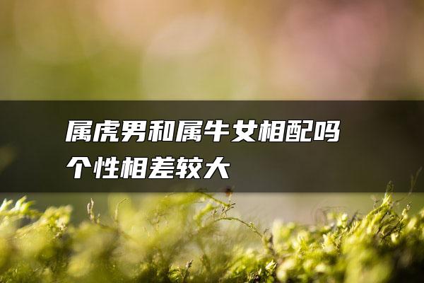 属虎男和属牛女相配吗 个性相差较大