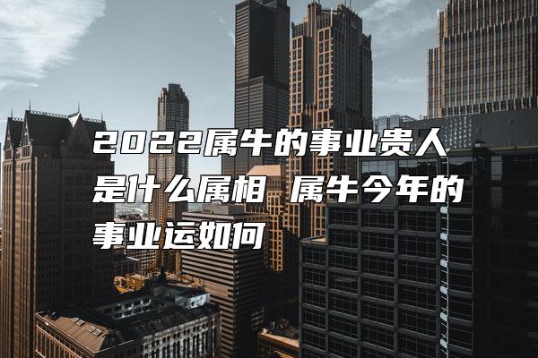 2022属牛的事业贵人是什么属相 属牛今年的事业运如何