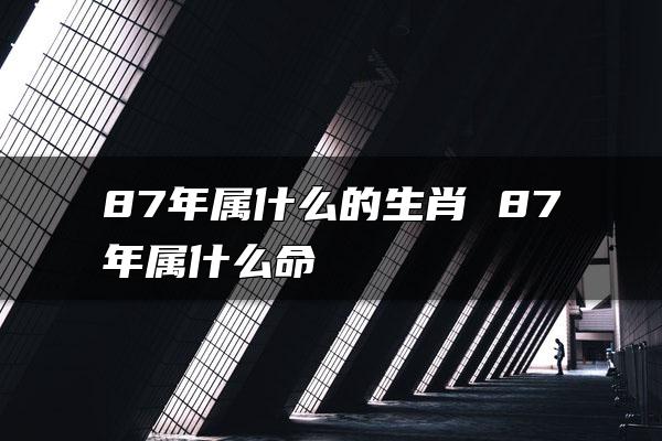 87年属什么的生肖 87年属什么命