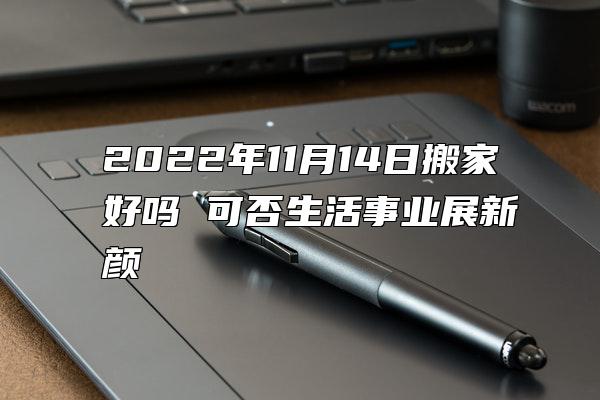 2022年11月14日搬家好吗 可否生活事业展新颜