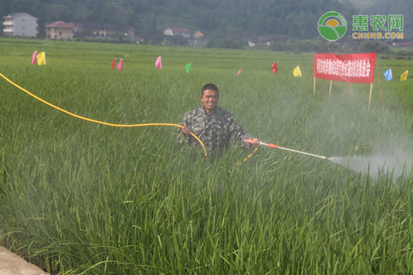 水溶肥的正确使用方法及注意事项 