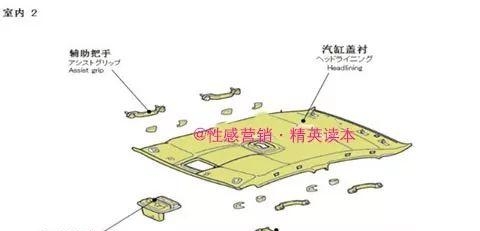 汽车结构图解剖图片高清（分享震撼的汽车解剖图及知识）