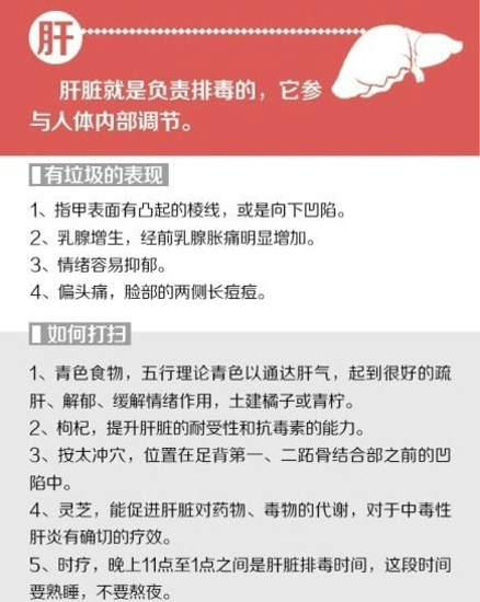 给你的身体来次大扫除 排除体内垃圾保持健康体态