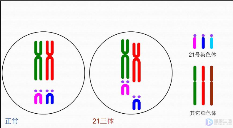 21三体是什么意思