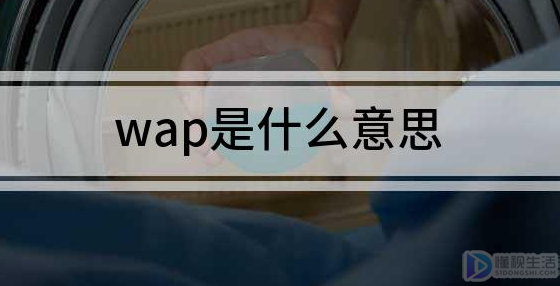 wap是什么意思