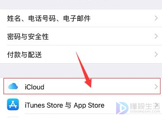 如何将iPhone备份到iCloud里