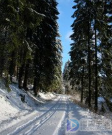 白雪纷纷何所似是什么意思