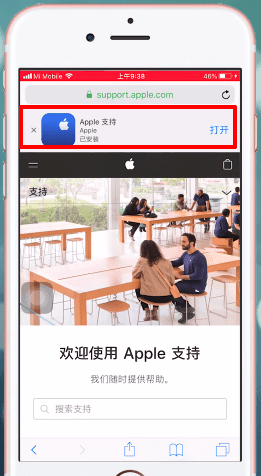 apple支持如何查看