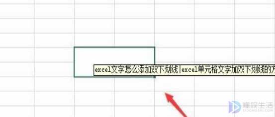 excel单元格文字如何添加双下划线