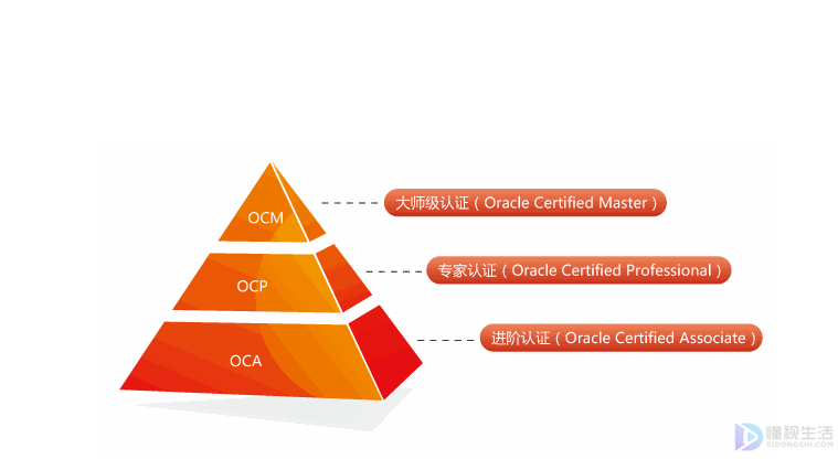 oracle认证考试多少钱