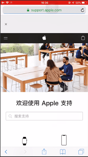 查找apple支持的方法