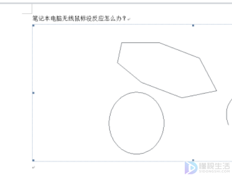 如何在word中插入清晰的CAD图