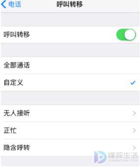 苹果呼叫转移设置不了