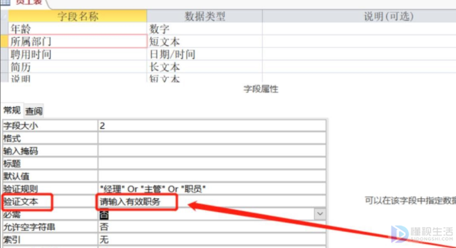 有效性文本如何设置