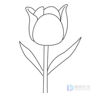 花朵简笔画怎么画好看