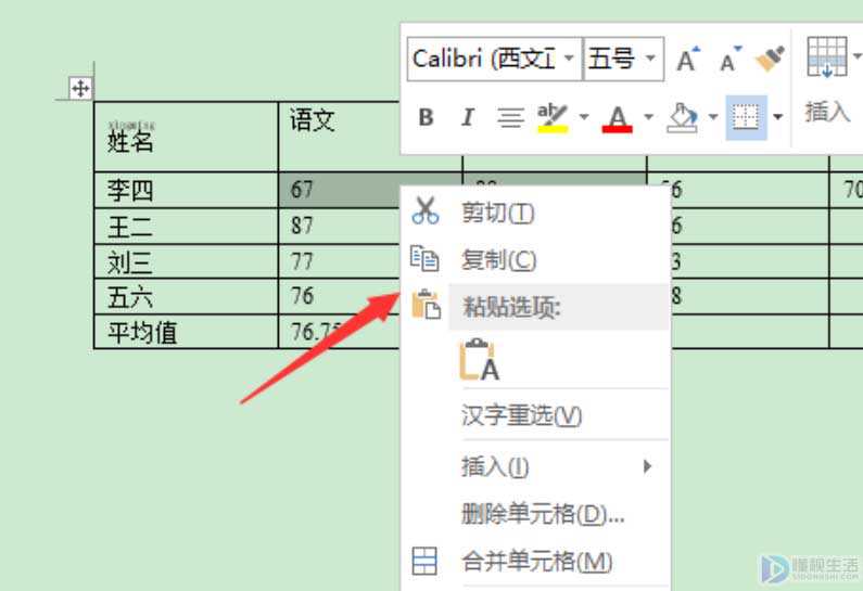 WPS中word无法复制粘贴如何回事