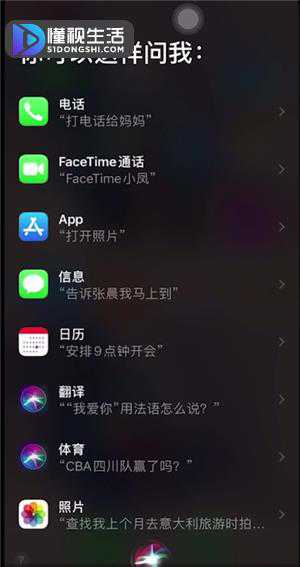 苹果语音助手叫什么