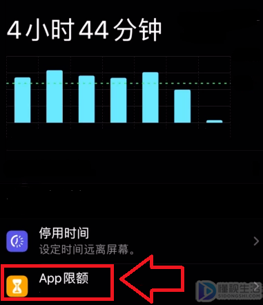 苹果11app如何设置密码