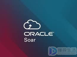 oracle java认证级别