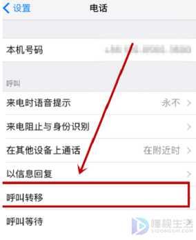 苹果呼叫转移设置不了