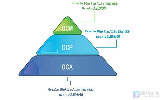 OCM证书含金量高吗