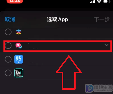 苹果11app如何设置密码