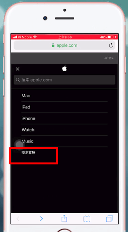 apple支持如何查看