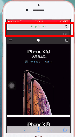 apple支持如何查看