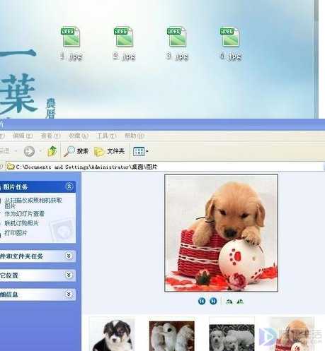 win7系统如何才能批量旋转图片方向