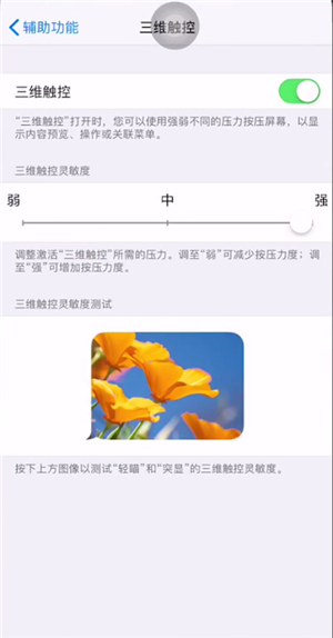 苹果xs有3dtouch这个功能吗