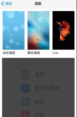 iphone7中墙纸设置“动态、静态、live”有什么区别