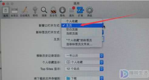 苹果电脑safari浏览器如何设置主页