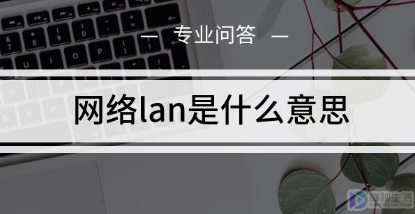 网络lan是什么意思