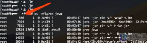 linux查看进程id