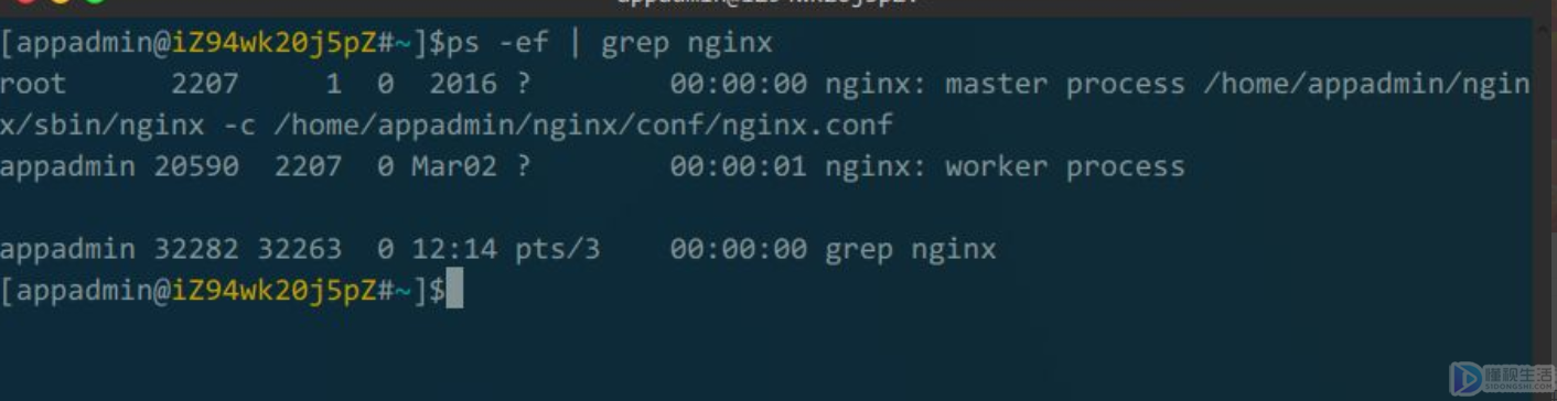 linux查看nginx是否启动