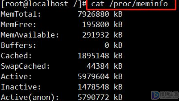 linux如何查看内存