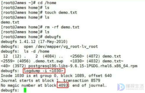 linux找回删除文件