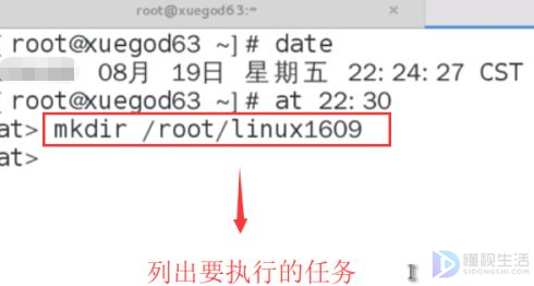 linux设置定时任务