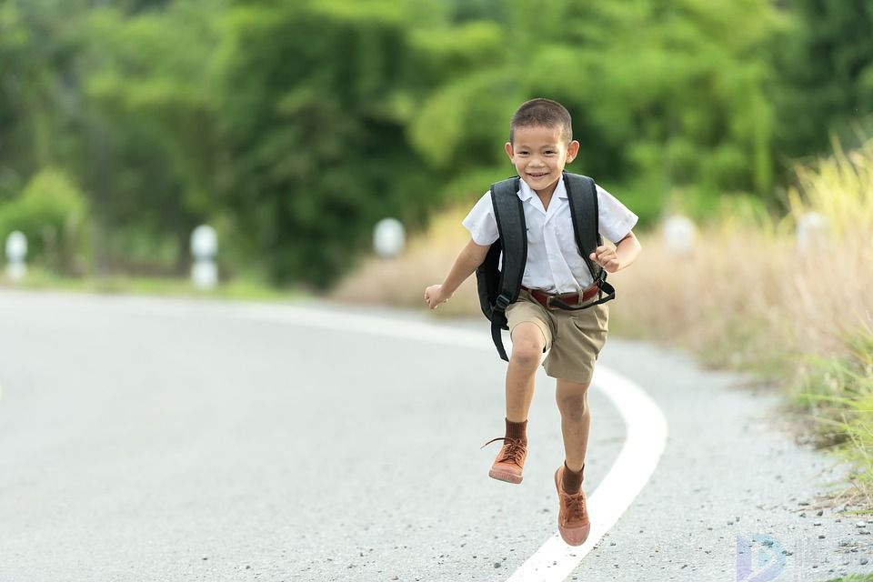 茂生小学是公立学校么