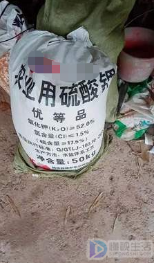 硫酸钾肥有啥作用