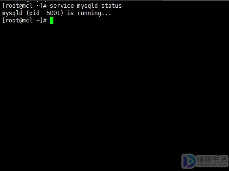 linux查看mysql的状态