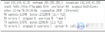 linux如何看ip