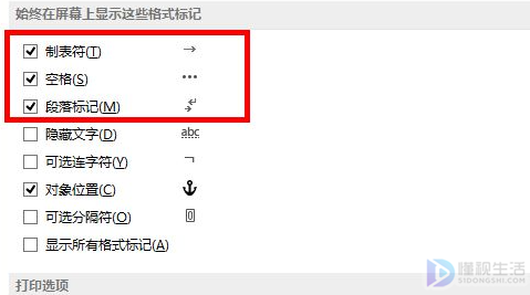 Word2013中如何显示特殊字符