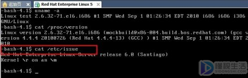 linux查看系统版本号
