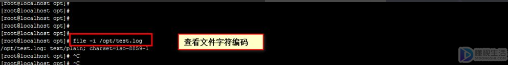 查看linux编码格式
