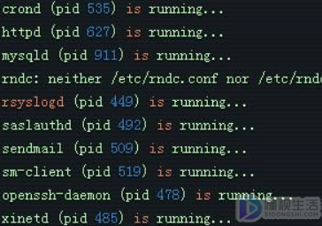 linux查看运行的服务
