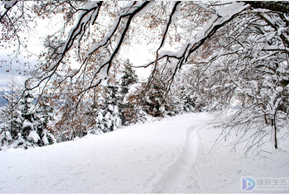 雪是怎么形成的